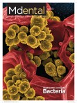 Mdental 2013 cover